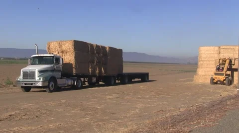 Loading hay forfarmer 스톡 동영상 54099624