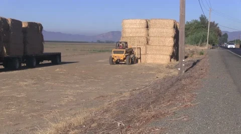Loading hay for market Video stock 54099612