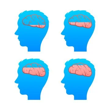 Loading Human brain medical. Internal organ. Neural network. Brainstorming, idea イラスト素材
