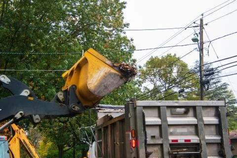 Loading leaves Stock Photos