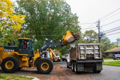 Loading leaves Stock Photos