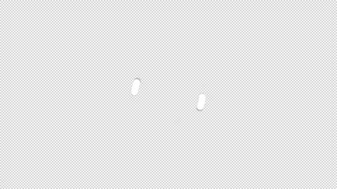 Loading Loader Loop Animation, Circle Loading Progress Loop Stock Footage 301242321