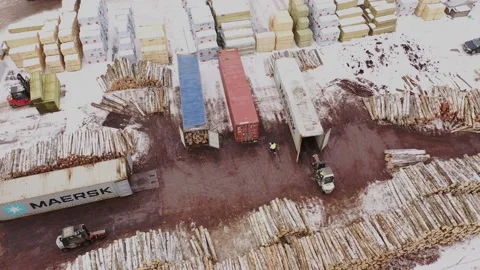 Loading logs into container Stock Footage 150269700
