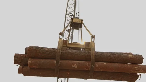 Loading logs with a crane, a crane at a sawmill, loading logs, working in a 動画素材 108306269