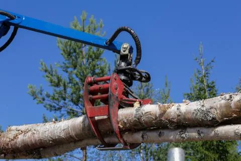 Loading logs Stock Photos