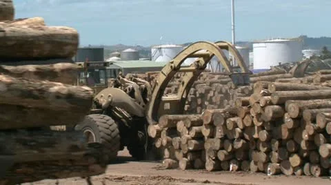 Loading logs at Port Facility. Stock Footage 10710454