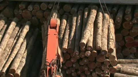 Loading logs to ships hold Stock Footage 10710470