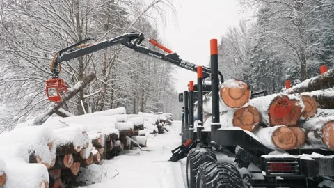 Loading logs into a trailer in a forest covered with snow Stock Footage 169548930