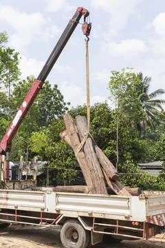 Loading of logs on transport Stock Photos