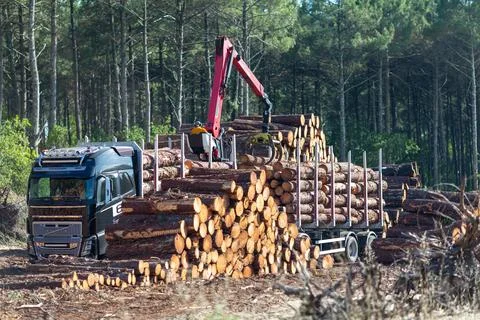 Loading logs on a truck trailer using a tractor loader with a grab crane tran Stock Photos
