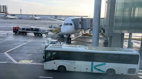 Loading luggage of a special car into the plane bus airfield Airport Stock Footage 236187030