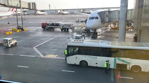 Loading luggage of a special car into the plane bus airfield Airport Stock Footage 236187112