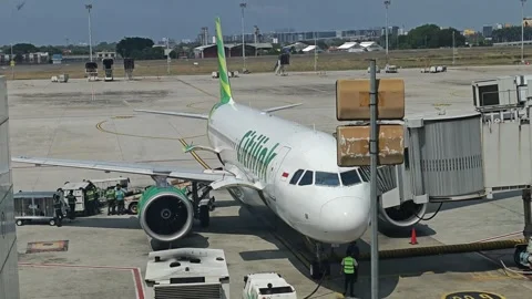 Loading luggages Stock Footage 324608873