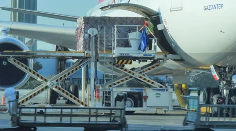 Loading luggages goods into cargo aeroplane jetplane at the airport Stock Footage