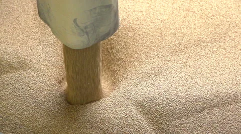 Loading of Malt/grain For Producing Beer At The Brewery. Slow motion Stock Footage 59311664