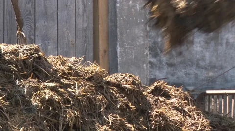 Loading the manure Vídeo Stock 56513101