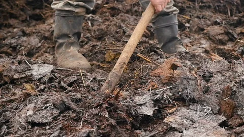 Loading manure with a pitchfork. Close-up. Slow motion Stock Footage 126989103