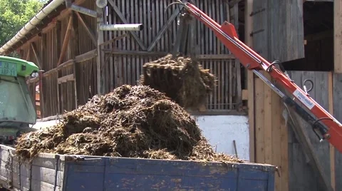 Loading manure onto the tractor trailer Stock-Footage 56513045