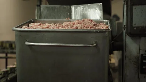 Loading minced meat into the conveyor line. Production of canned meat Stock Footage 253812221