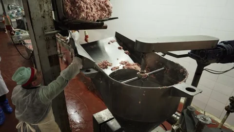 Loading minced meat into the conveyor line. Production of canned meat Stock Footage 254072277