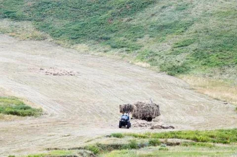 Loading mown hay Stock Photos