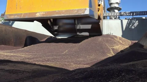 Loading of the new harvest grain has started in the seaport Vidéo 220934894