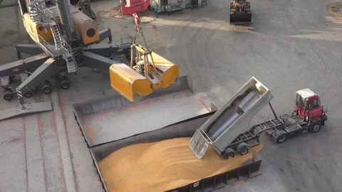 Loading of the new harvest grain has started in the seaport Video stock 252726722