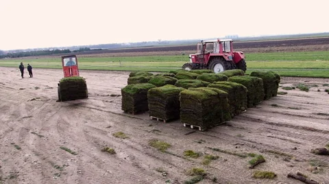 Loading pallets of grass turf. Stock Footage 60993519