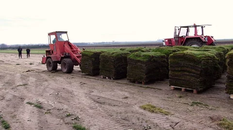 Loading pallets of grass turf. Stock Footage 61000130