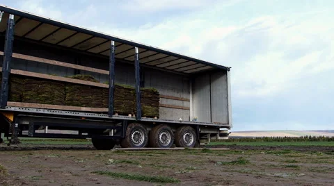 Loading pallets of grass turf. Stock Footage 61001062