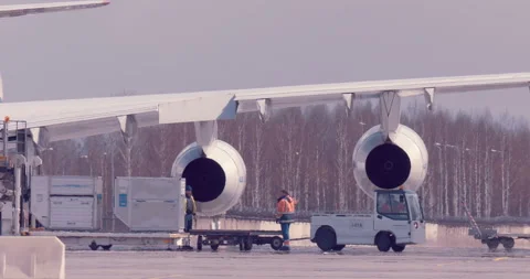 Loading in a passenger plane the large metal boxes into the tail section Stock Footage 119573140