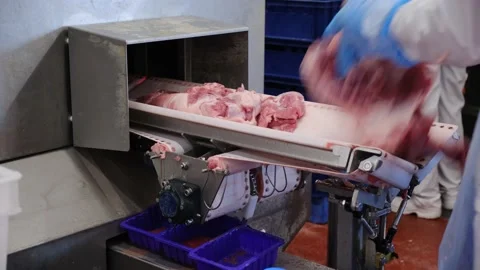 Loading pieces of meat into an industrial sorting machine 스톡 동영상 200772553