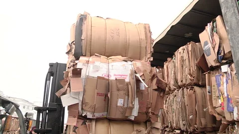 Loading of the pressed cardboard on the truck for sending for recycling Stock Footage 104644021