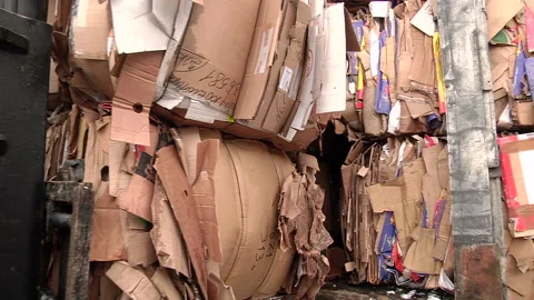 Loading of the pressed cardboard on the truck for sending for recycling Stock Footage 104644690