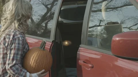 Loading Pumpkins Stock Footage 220903734