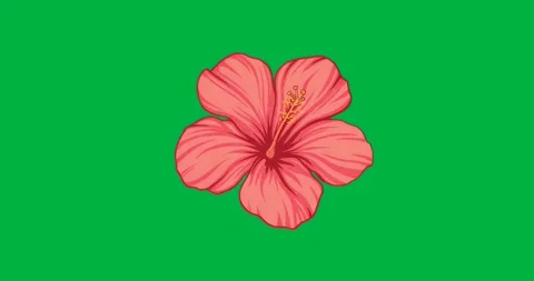 Loading red hibiscus flower glowing with pulsing cyan halo on transparent Stock Footage 317283753