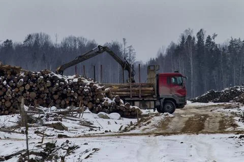 Loading of roundwood on timber yard Stock Photos