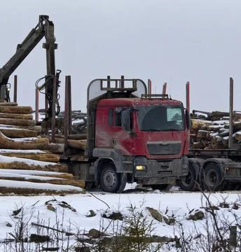 Loading of roundwood on timber yard Stock Photos
