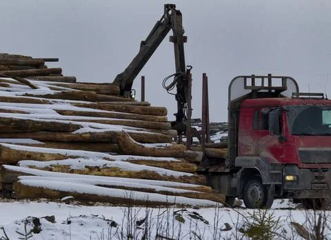 Loading of roundwood on timber yard Stock Photos