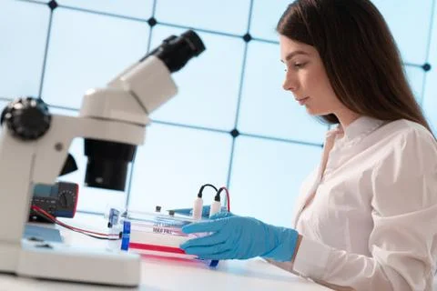 Loading Samples and Running an Agarose Gel for electrophoresis, Gel electroph Stock Photos