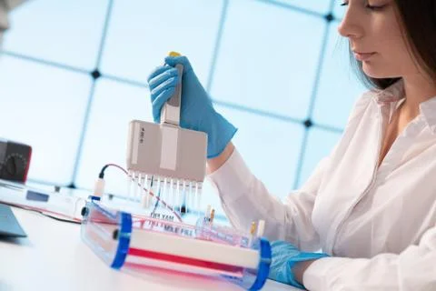 Loading Samples and Running an Agarose Gel for electrophoresis, Gel electroph Stock Photos