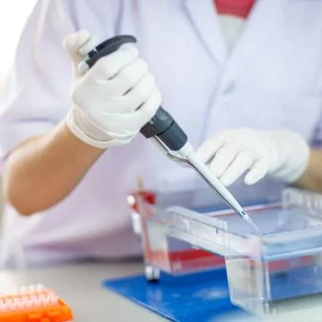 Loading samples into  gel for electrophoresis Stock Photos