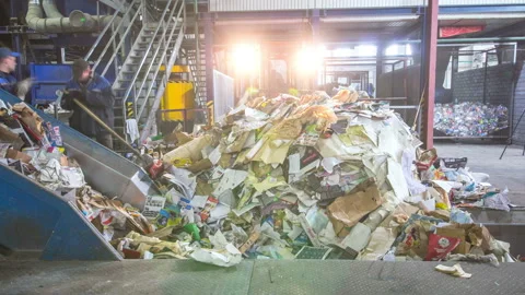 Loading secondary resources for recycling. Conveyer for Paper recycling. Stock Footage 125646713