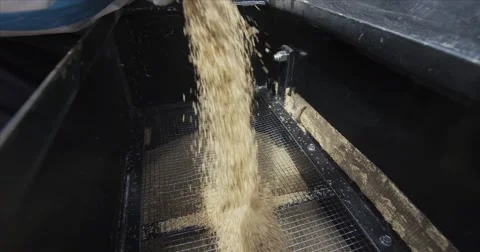 Loading Seed Grass - Red Epic Stock-Footage 41930900