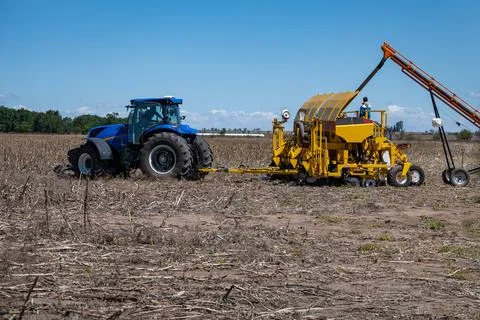 Loading seed into mechanical agricultural grain seeders. A tractor driver w.. Stock Photos