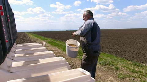 Loading seeder with soybean seed Stock Footage 50728618