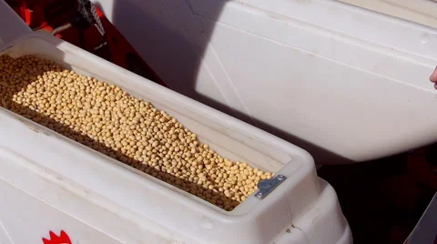 Loading seeder with soybean seed Stock Footage 50729034