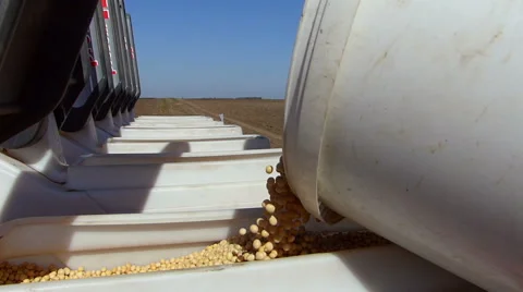 Loading seeder with soybean seed Stock Footage 50731628