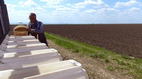 Loading seeder with soybean seed Stock Footage 50733714