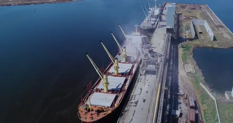 Loading the ship with grain in the port. The ship is loaded with grain. Grain Video stock 313582859